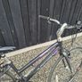 Eurotrek Esprit Bike Image 5