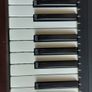 Native Instruments Komplete Kontrol S49 MK2, New, Never Used in excellent condition Image 10