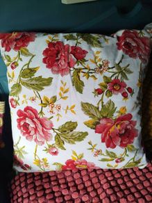 Large Cushion and Cover