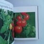Royal Horticultural Society allotment handbook Image 5