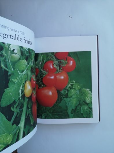 Royal Horticultural Society allotment handbook