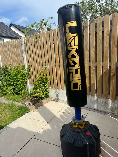 Freestanding Punching Bag