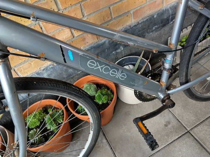 Apollo bike
