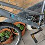 Apollo bike Image 2