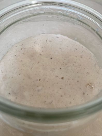 Sourdough starter Organic