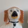 Large Staffordshire fireside spaniels (Dogs) Image 4