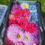 Artificial flower bundle Image 6