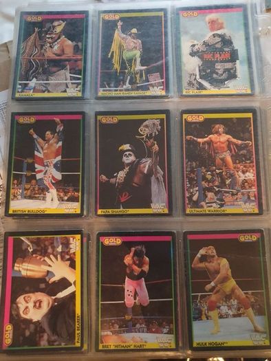 WWF Merlin Trading Cards full set of 96
