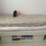 Uno bunk bed with under bed storage with mattresses Image 3