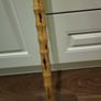 Walking stick Image 5