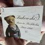 Baby Lovey / Teddy or Dog or Bunny - BNWT Image 6