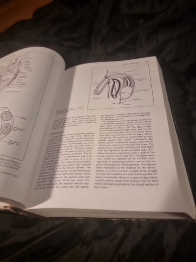 Invertibrate Zoology . 4th edition(Hardcover Illustrated Boards)