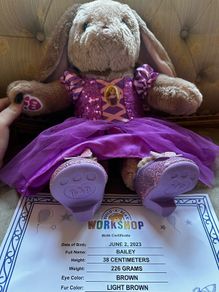 License Build-A-Bear Bunny