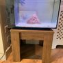 fish Image 4