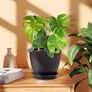 8 Pack Plant Pots Image 7