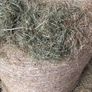 Hay & Silage Image 2