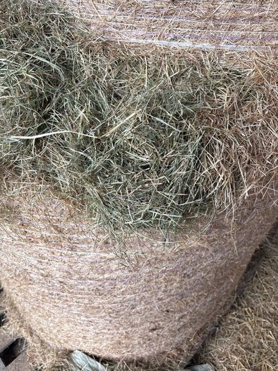 Hay & Silage