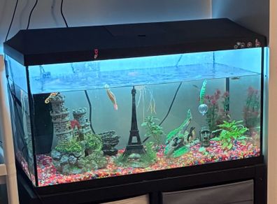 100L Fish tank - Complete set up.