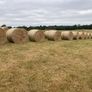 2026/25 hay for sale Image 2