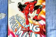 The Amazing Spider-Man 14 Issue LGY 978 Marvel Comics Spiderman