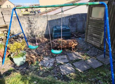 free swing set