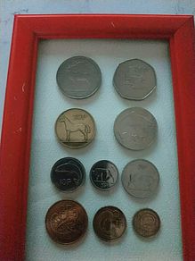 Irish coins