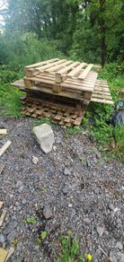 scrap wood/fire wood + pallets