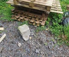 scrap wood/fire wood + pallets
