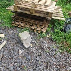 scrap wood/fire wood + pallets