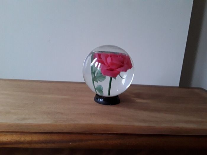 glass bowl
