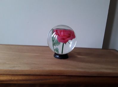 glass bowl