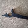 Tonearm Lock for Technics SL Model Turntables Free viewing Image 4