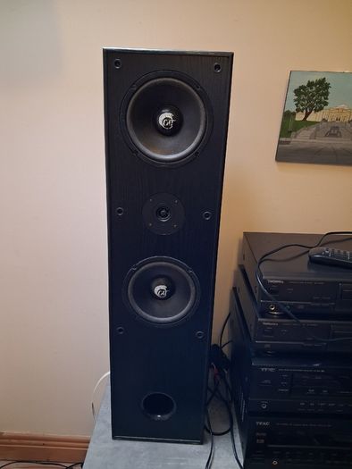 floor speakers..cat leb 401
