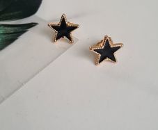 Brand new earrings