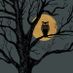 The Night Owl