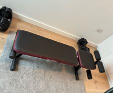 Exercise bench
