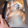 wildlife book Image 4