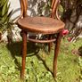 Antique Bentwood Cafe Chair with Original Factory Label Art Nouveau circa 1900 to 1925 Image 4