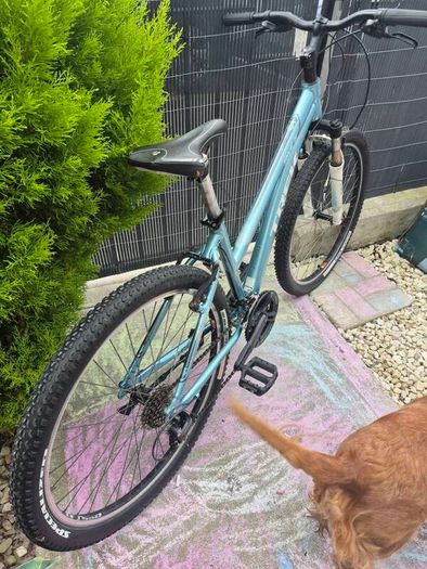 TREK Skye S Mountain Bike