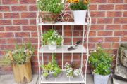 Shelf  Three Tier  White D4833