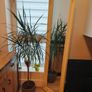 Wall Mirror 169x44cm Image 2