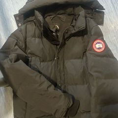canada goose