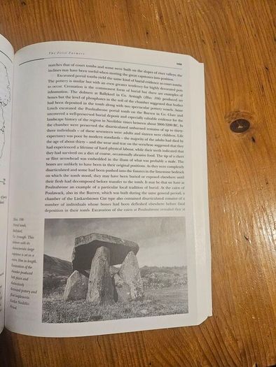 Reading The Irish Landscape. By Frank Mitchel & Michael Ryan. Large Volume Paperback In Good Condition.  See Photos For Same.