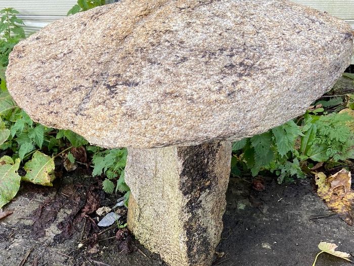 granite mushrooms