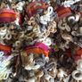 Huge bundle of finger knitting loop yarn wool 52 balls Image 6