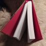 Alice Taylor/ Books from the Attic/2020 Image 3