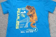 boy's t-shirt. age 4