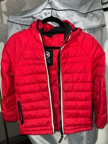 Canada goose kids