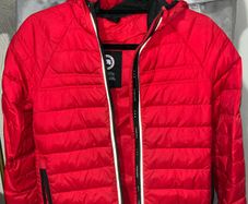Canada goose kids