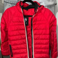 Canada goose kids